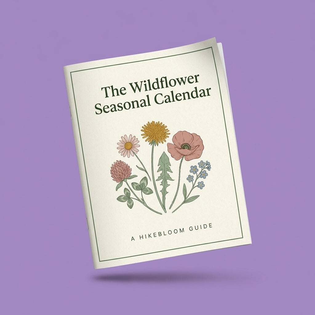 E-book The Hiker’s Wildflower