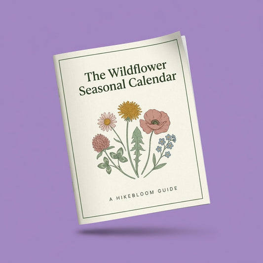 E-book The Hiker’s Wildflower