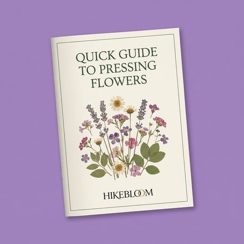 Quick Guide to Pressing Flowers