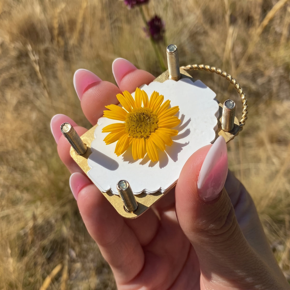 Hikebloom Mini Flower Press